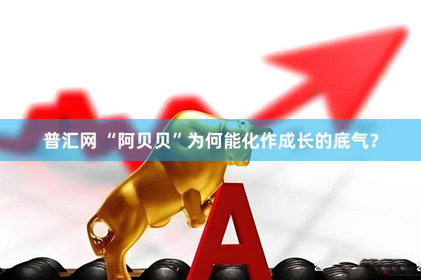 普汇网 “阿贝贝”为何能化作成长的底气？